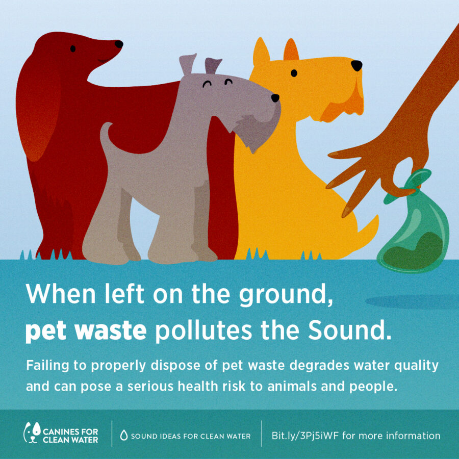 An illustration of three dogs with a teal background and white lettering. A brown hand reaches down and picks up a green abg filled wiht poop.